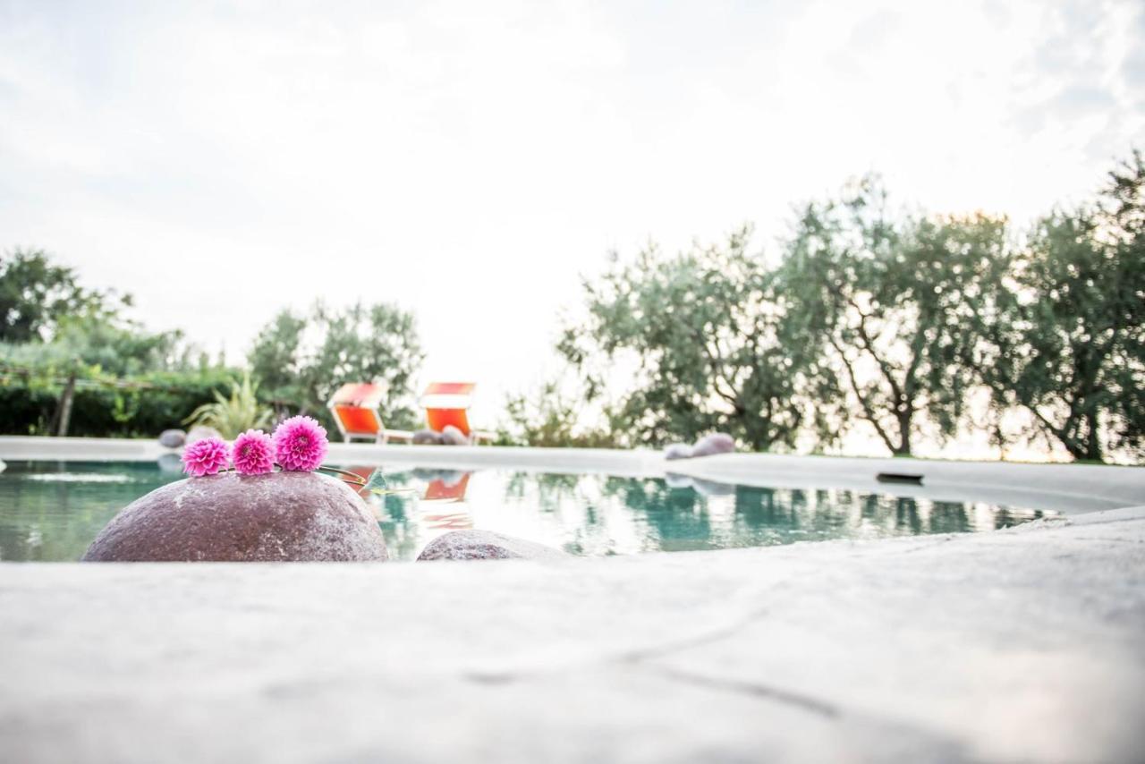Agriturismo Il Grappolo Lazise Extérieur photo